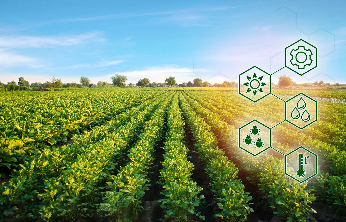 Agromet Advisory